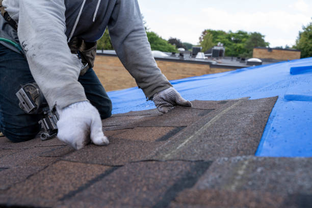 Best Roof Leak Repair  in Bar Nunn, WY