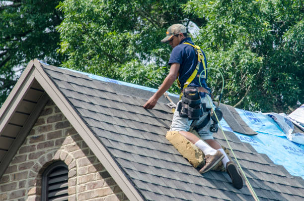 Best Flat Roof Repair Services  in Bar Nunn, WY